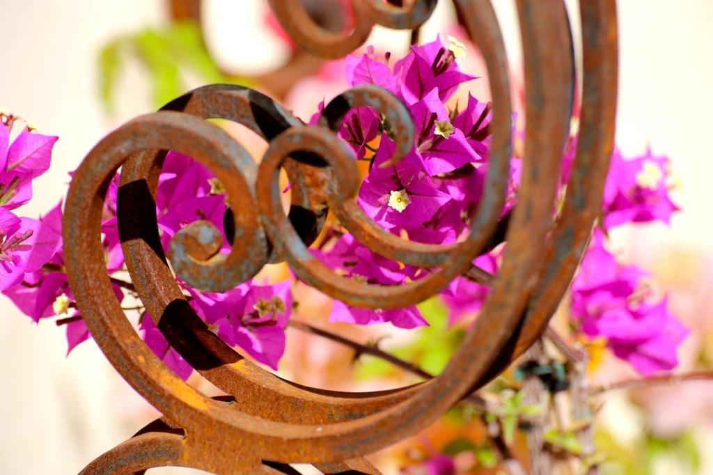 Mas De Mariette Bed and Breakfast Noves Buitenkant foto